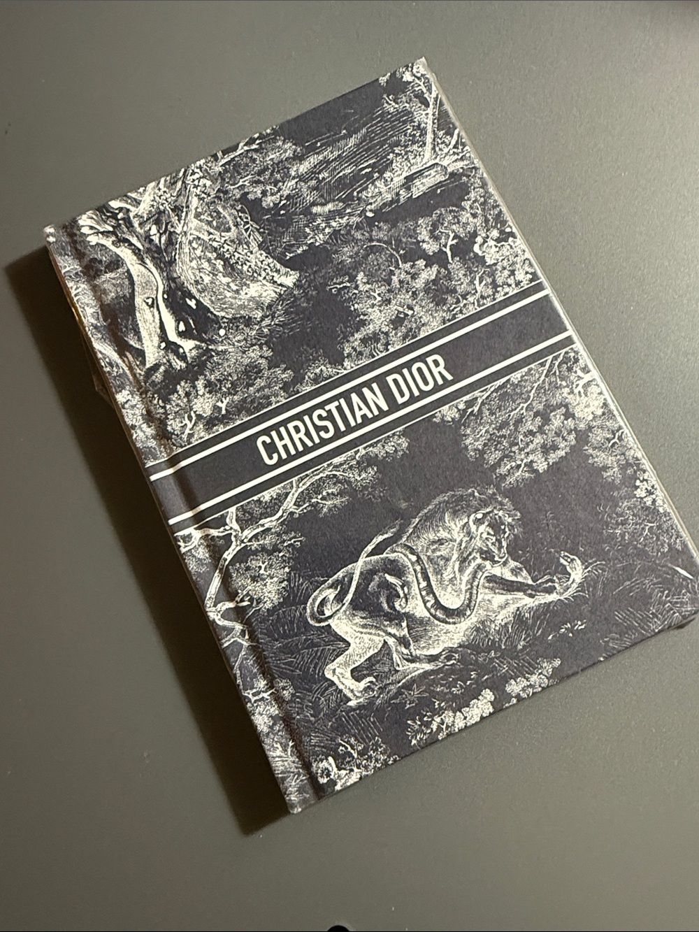 DIOR Toile de Jouy Blue Notebook